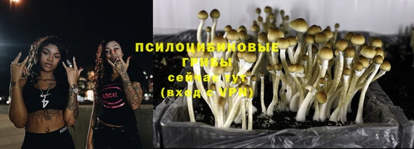 спайс Балабаново